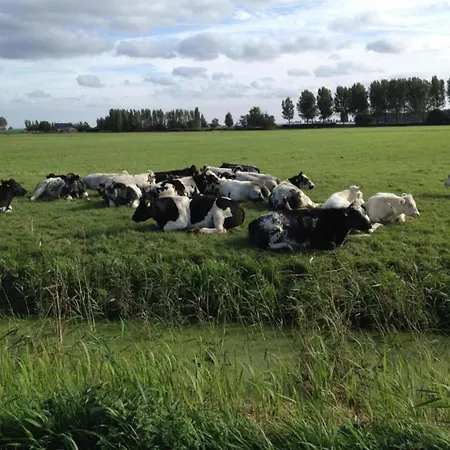 Holiday Home In Simonshaven Near Lake Beach Simonshaven